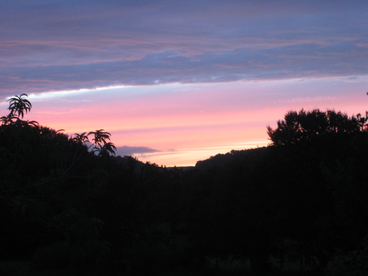 IMG_0671_resized